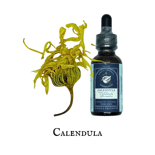 Calendula (Caléndula) – Tincture