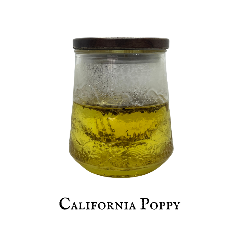 California Poppy (Amapola de California) – Aerial Parts – Dried Herb