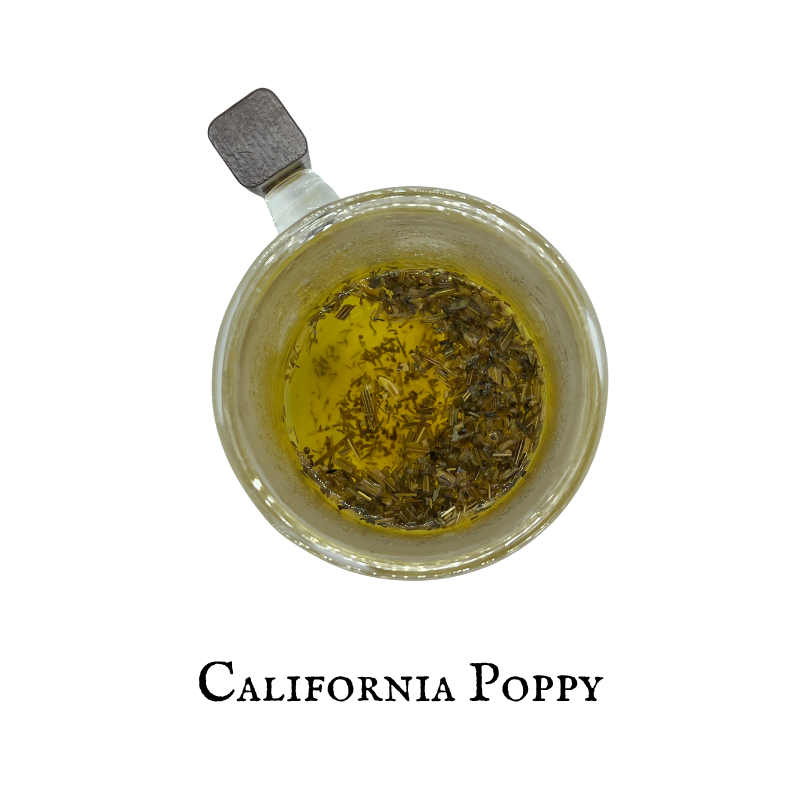 California Poppy (Amapola de California) – Aerial Parts – Dried Herb