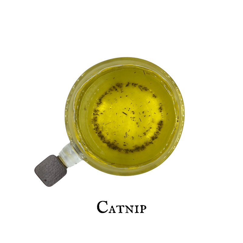 Catnip (Hierba Gatera) – Leaf – Dried Herb