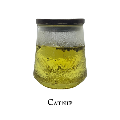 Catnip (Hierba Gatera) – Leaf – Dried Herb