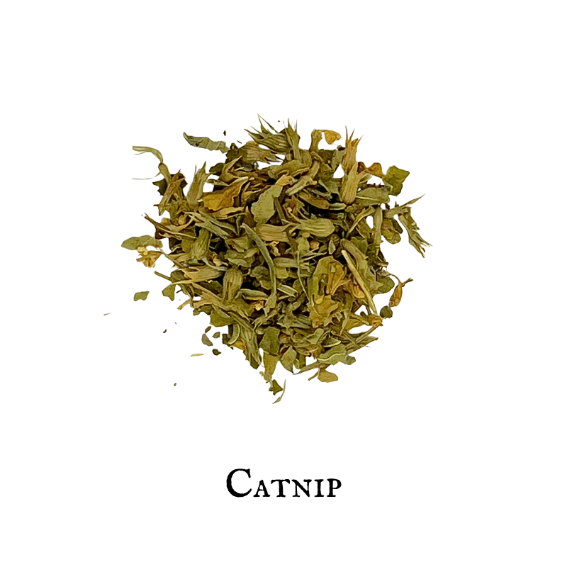 Catnip (Hierba Gatera) – Leaf – Dried Herb