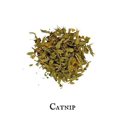 Catnip (Hierba Gatera) – Leaf – Dried Herb