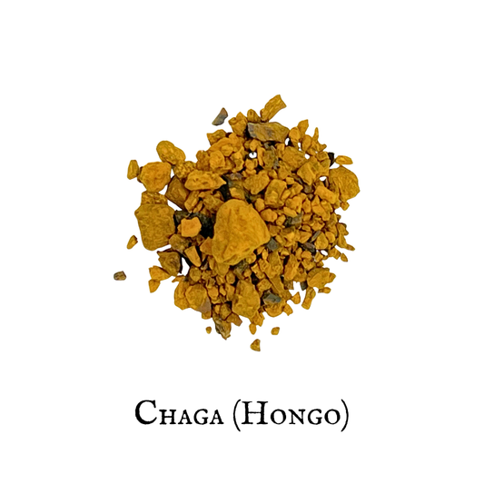 Chaga (Chaga Mushroom) – Hongo
