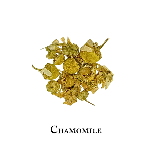 Manzanilla (Chamomile) – Flor