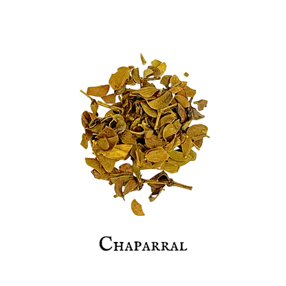 Chaparral (Gobernadora) – Leaf – Dried Herb