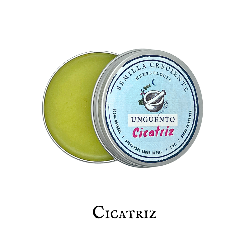 Ungüento Cicatriz | Botanical Skin Salve