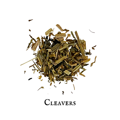 Cleavers (Amor de Hortelano) – Aerial Parts – Dried Herb