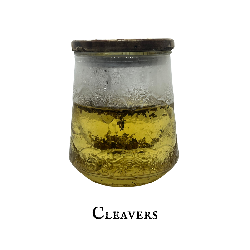 Cleavers (Amor de Hortelano) – Aerial Parts – Dried Herb