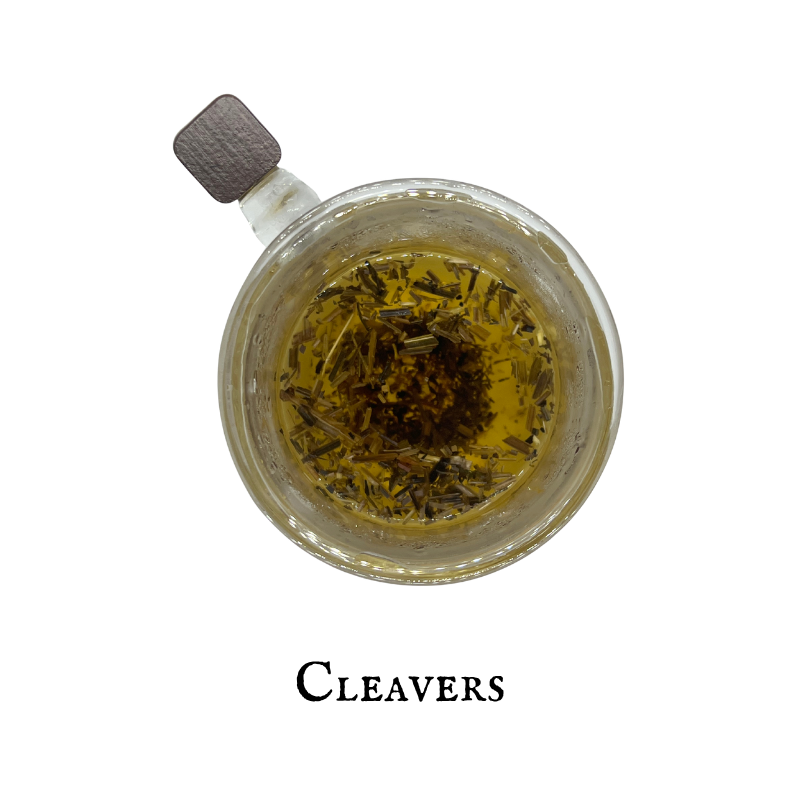 Cleavers (Amor de Hortelano) – Aerial Parts – Dried Herb