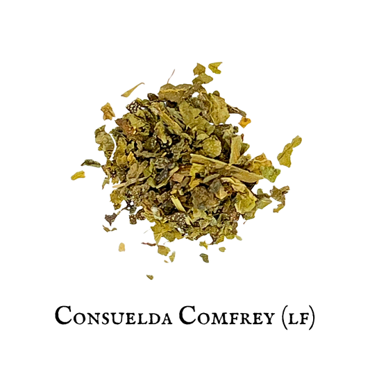 Consuelda (Comfrey)- hoja/leaf