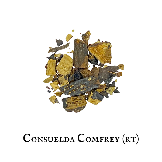 Consuelda / Comfrey (Symphytum officinale) raiz/root