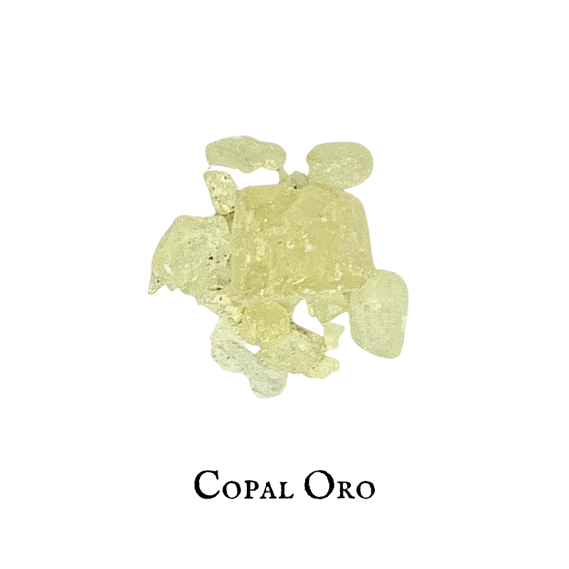Copal (Copal Oro) – Resin – Dried Herb