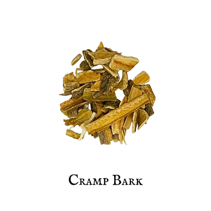 Cramp Bark (Calina) – Bark – Dried Herb