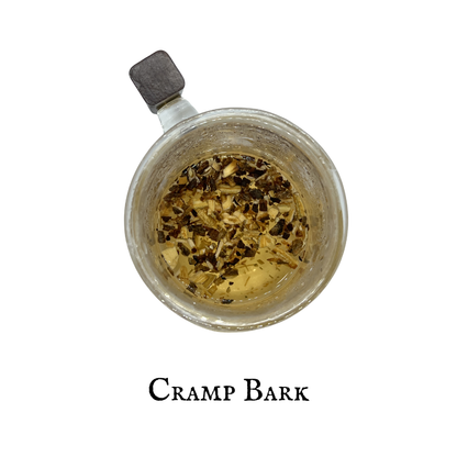 Cramp Bark (Calina) – Bark – Dried Herb