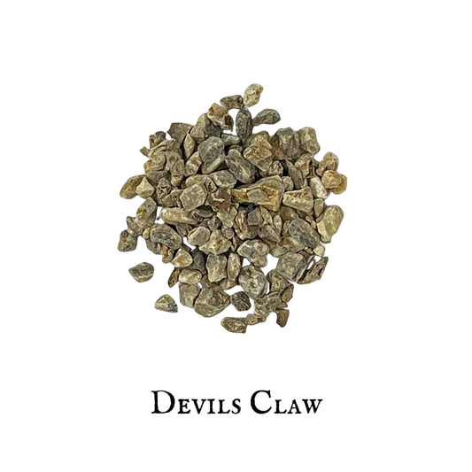 Devils Claw (Harpagophytum procumbens)