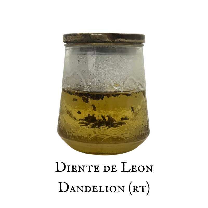 Dandelion (Diente de León) – Root – Dried Herb