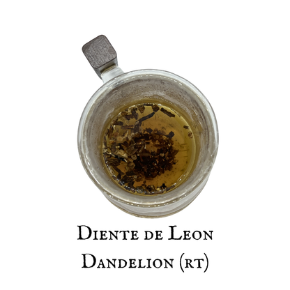 Dandelion (Diente de León) – Root – Dried Herb