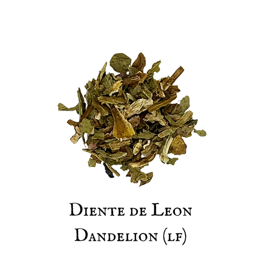 Diente de León (Dandelion) - Hoja (Leaf)