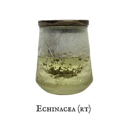Echinacea (Equinácea) – Root – Dried Herb