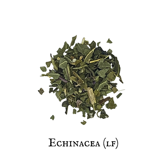 Equinacea - Echinacea (Hoja- Leaf)