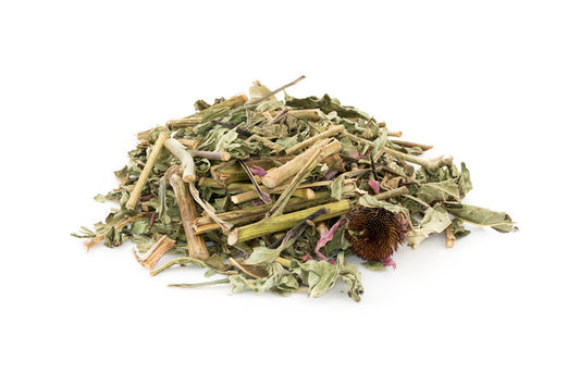 Equinacea - Echinacea (Hoja- Leaf)