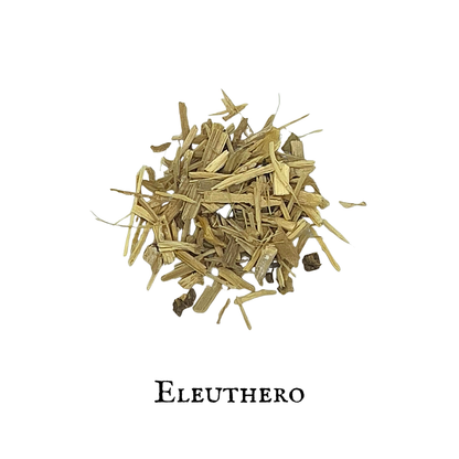 Eleuthero (Eleutero) – Root – Dried Herb
