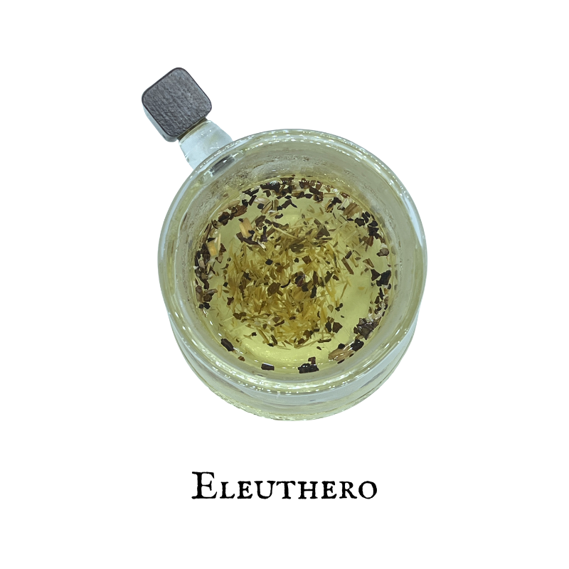 Eleuthero (Eleutero) – Root – Dried Herb