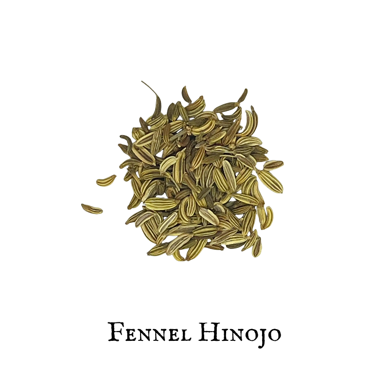 Fennel (Hinojo) – Seed – Dried Herb
