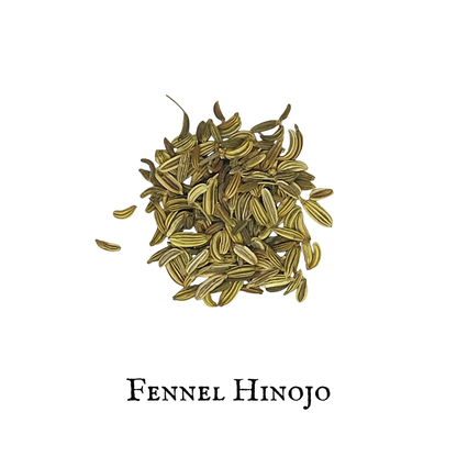 Fennel (Hinojo) – Seed – Dried Herb