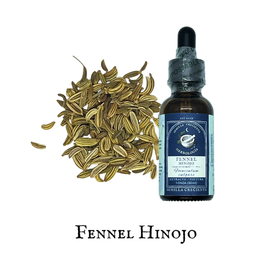 Fennel (Hinojo) – Tincture