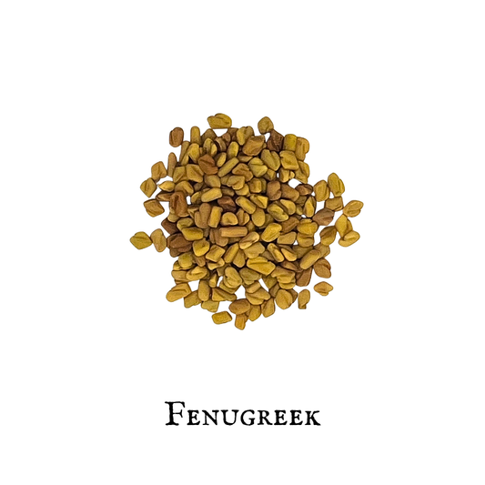 Fenogreco (Fenugreek)