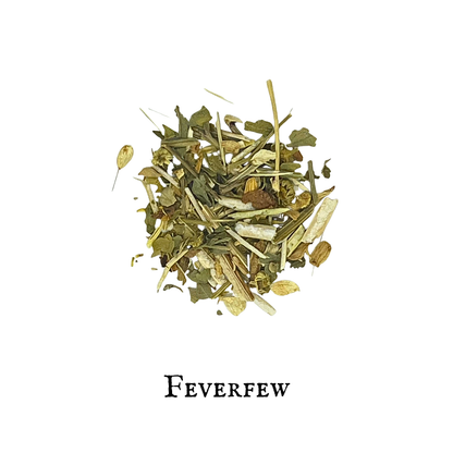 Feverfew (Santa María) – Aerial Parts – Dried Herb