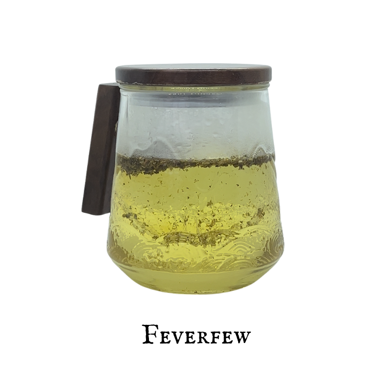 Feverfew (Santa María) – Aerial Parts – Dried Herb