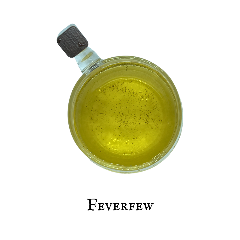 Feverfew (Santa María) – Aerial Parts – Dried Herb