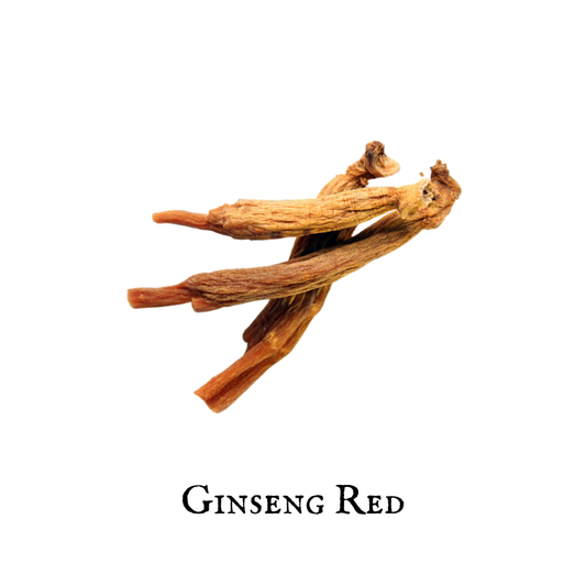 Ginseng Rojo  (Red Ginseng)