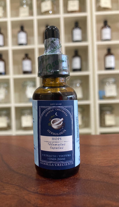 Hops (Lúpulo) – Herbal Tincture