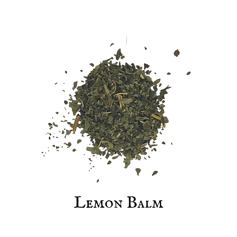 Melissa- Toronjil (Lemon Balm)