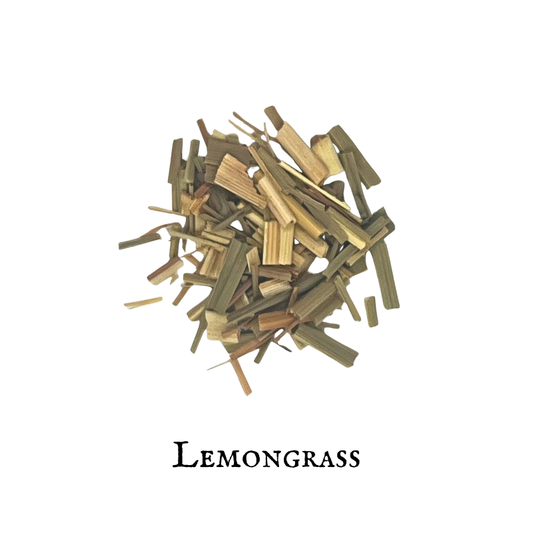 Lemongrass – Cymbopogon citratus
