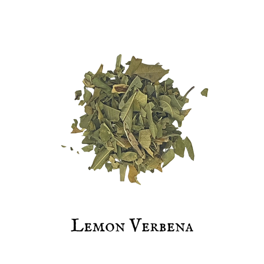 Lemon Verbena – Aloysia citriodora
