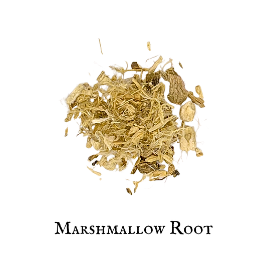 Raíz de Malvavisco Orgánica (Althaea officinalis) – Marhsmallow Root