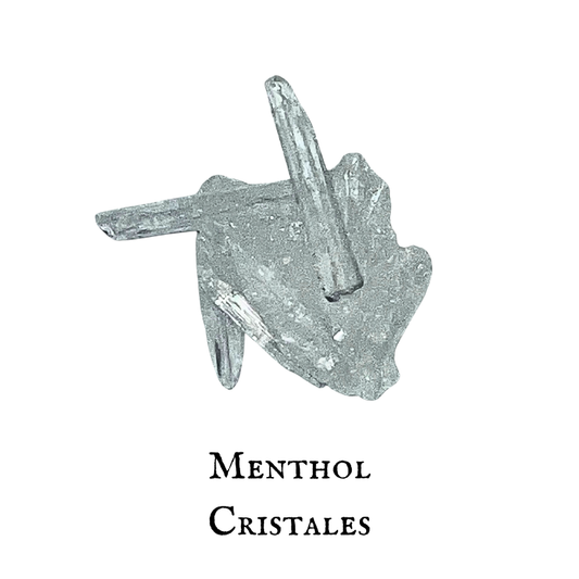 Menthol Cristales – Mentha arvensis
