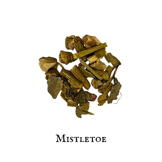 Mistletoe – Viscum album