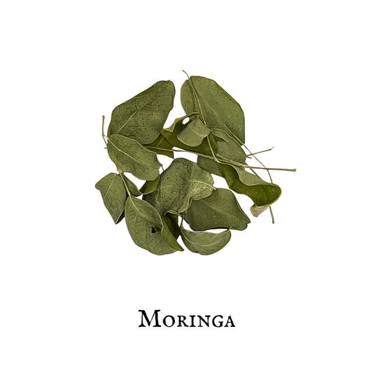 Moringa Orgánica en Hoja (Moringa oleifera) – Nutrición Profunda y Soporte Vital