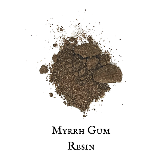 Myrrh Gum – Commiphora myrrha