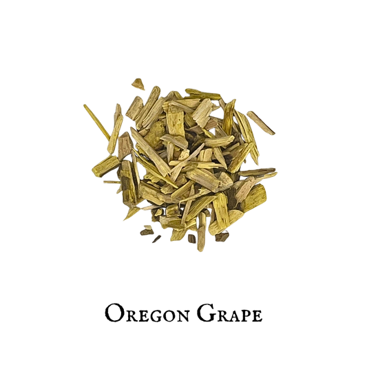 Oregon Grape – Berberis aquifolium