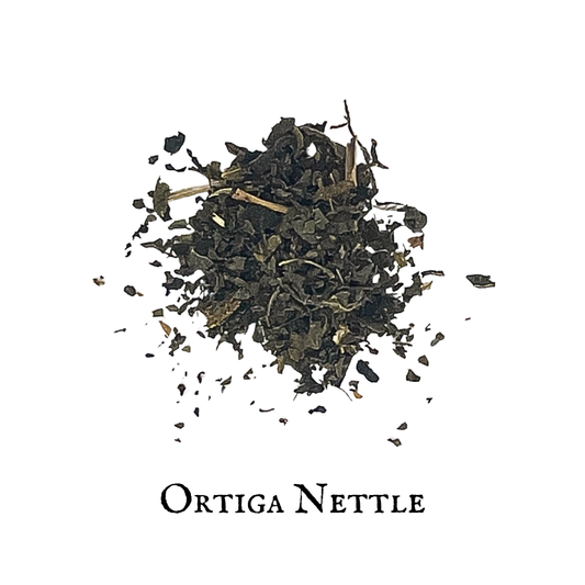 Nettle (Ortiga)