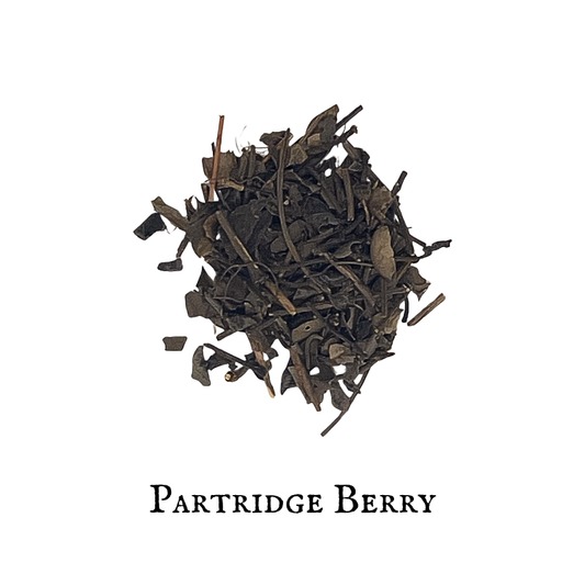Partridge Berry – Mitchella repens