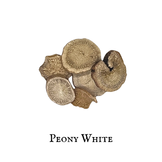 Peony White – Paeonia lactiflora