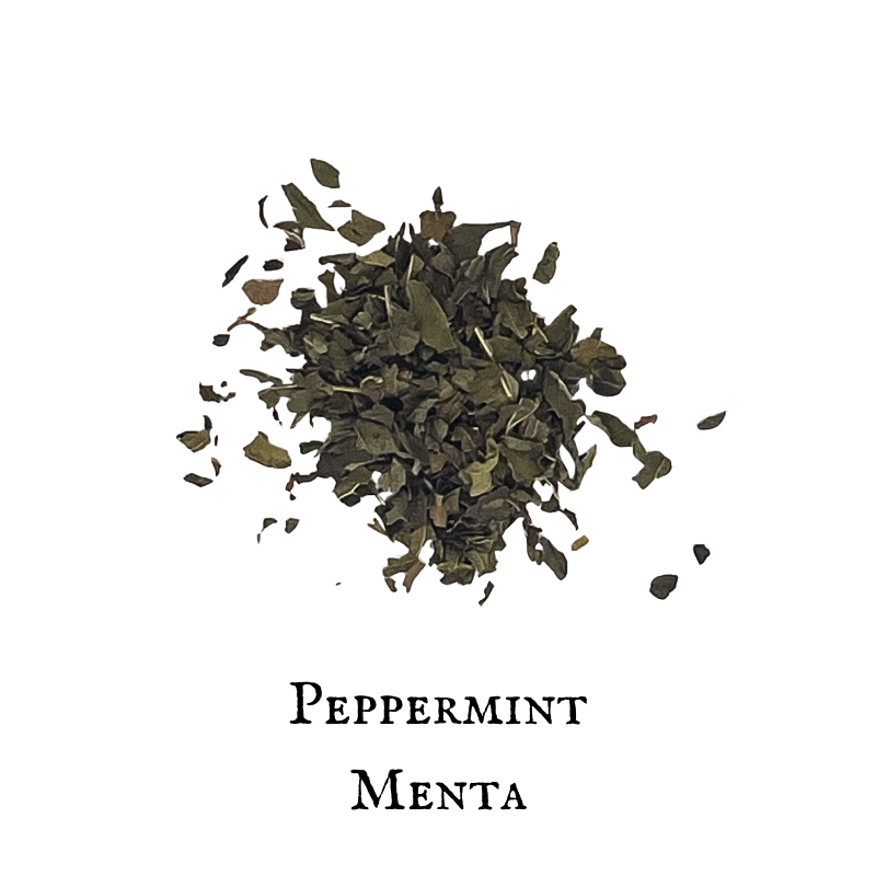 Menta - Peppermint